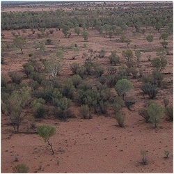 Australien