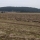 Inmitten der geplanten Trasse, Blick von der Trasse Richtung Osten