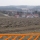 Inmitten der geplanten Trasse, Blick von der Trasse Richtung Rinchnach